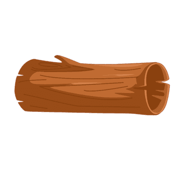 Log